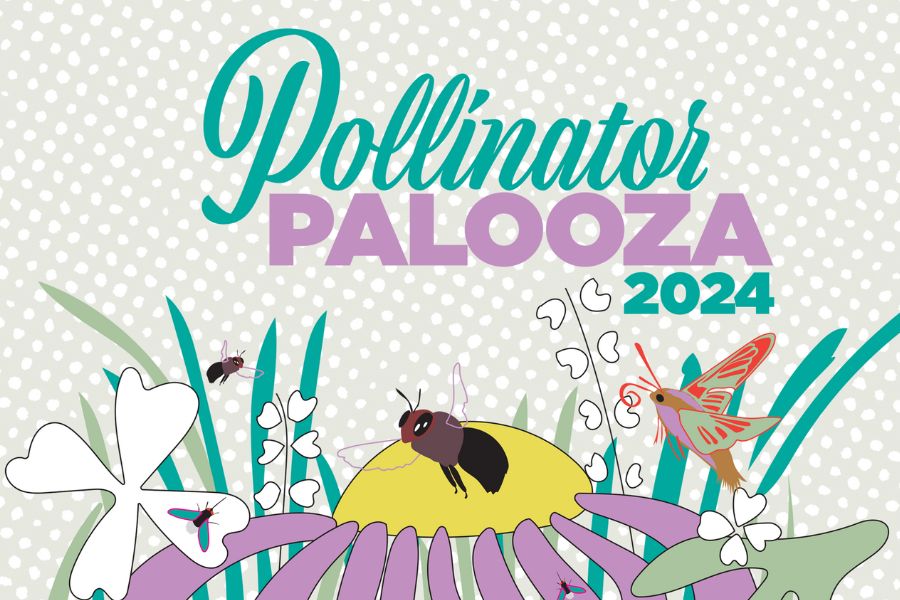 Pollinator Palooza 2024 graphic