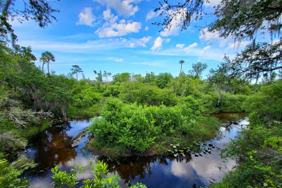 Tiger Creek, taken by The Nature Conservancy volunteer Linda Fish