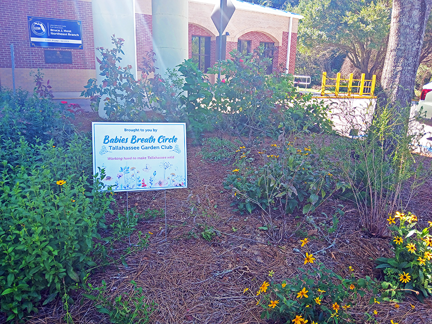 Bruce J. Host Northeast Branch Library demonstration garden