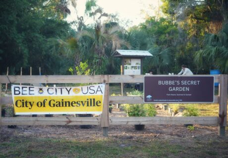 Community garden with signs reading Bee City USA and Bubbe's Secret Garden in Gainesville. People work in the background, surrounded by trees.