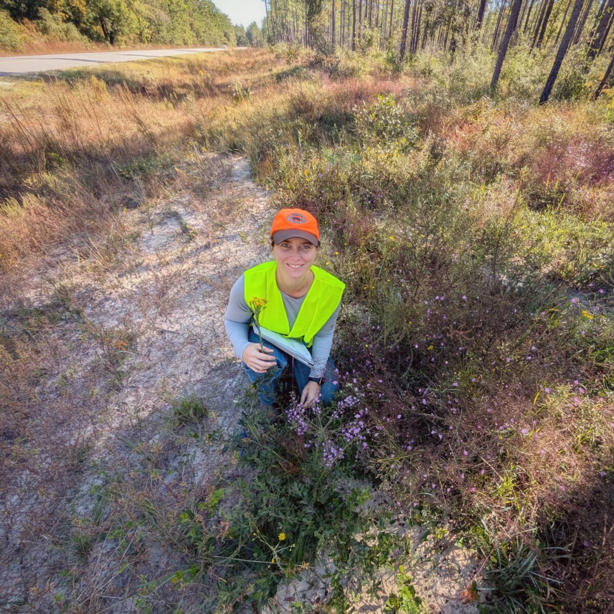 Foundation staff person conducting roadside wildflower survey. 