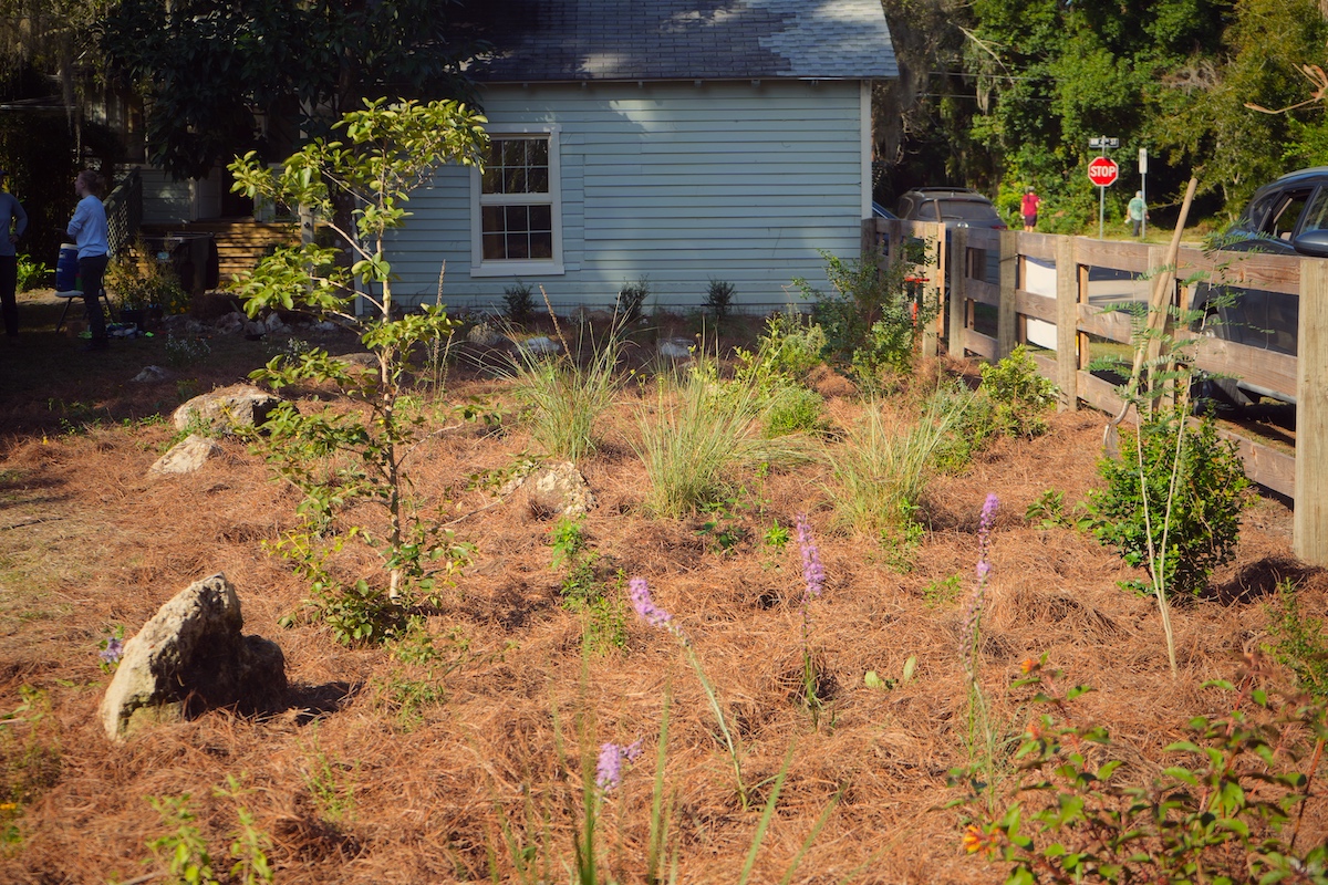 A house with a fenced front yard featuring a landscaped garden with small trees, bushes, and purple flowers on a bed of dry mulch.