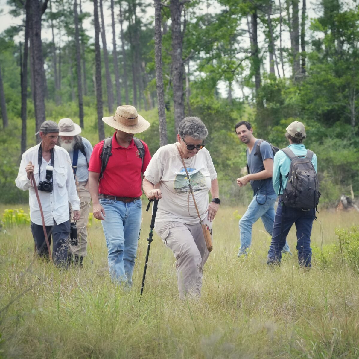 A group of people hiking along a seepage slope bog.