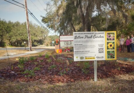 Sign for a native plant garden surrounded by mulch and small plants, located near a road. Trees and a few people are visible in the background.