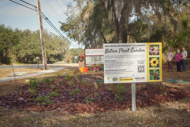 Sign for a native plant garden surrounded by mulch and small plants, located near a road. Trees and a few people are visible in the background.