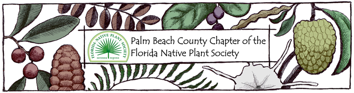 Illustration of various plants surrounding a text box that reads, Palm Beach County Chapter of the Florida Native Plant Society.