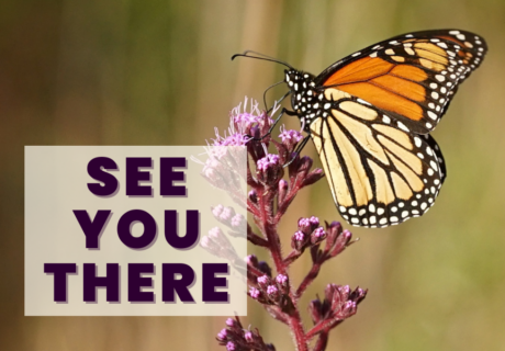 A monarch butterfly on a purple flower with the text SEE YOU THERE in bold letters on a semi-transparent overlay.