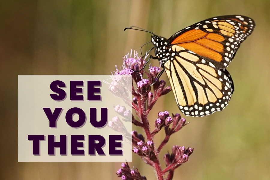 A monarch butterfly on a purple flower with the text SEE YOU THERE in bold letters on a semi-transparent overlay.